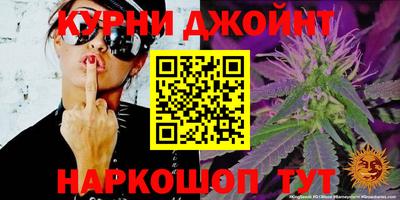 гашик Кунгур
